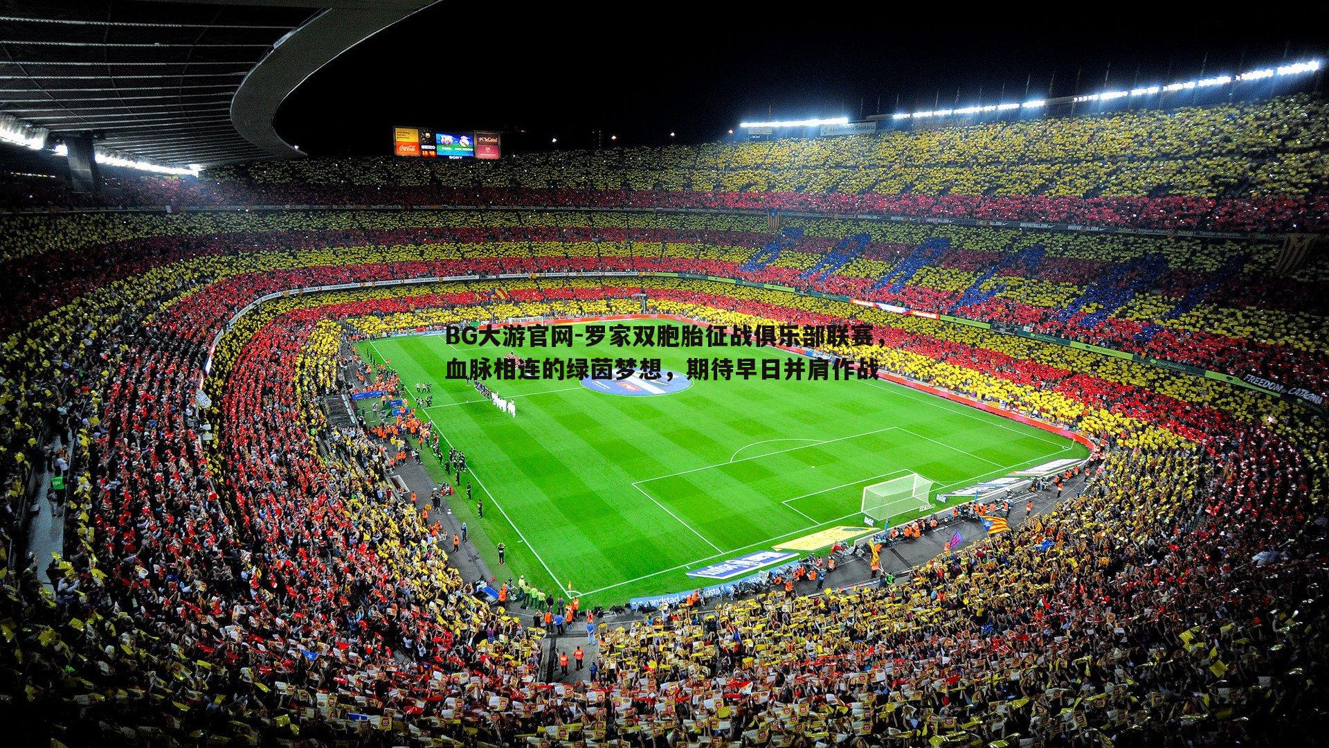 BG大游官网-罗家双胞胎征战俱乐部联赛,血脉相连的绿茵梦想,期待早日并肩作战